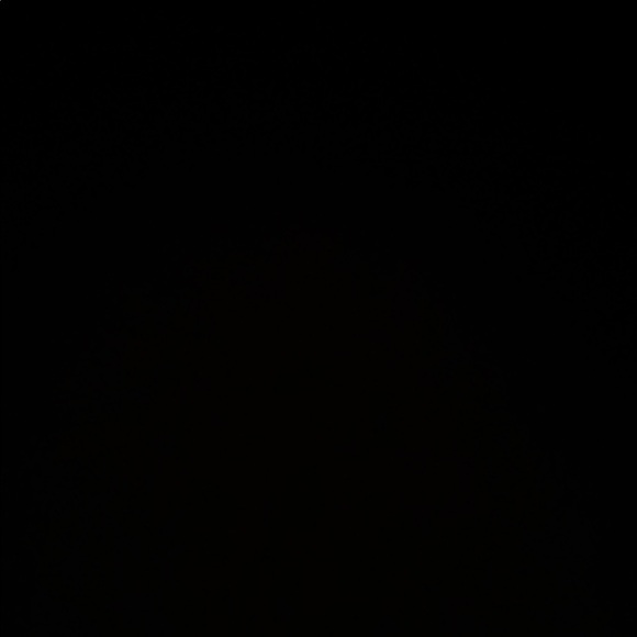 Meet your Posher, Addie - Picture 1 of 1